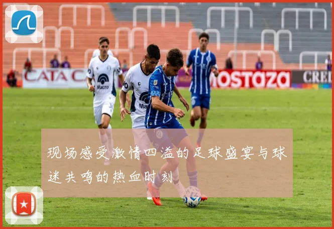 现场感受激情四溢的足球盛宴与球迷共鸣的热血时刻