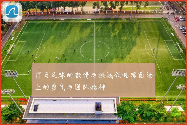 悍马足球的激情与挑战领略绿茵场上的勇气与团队精神