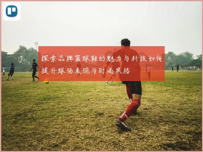 探索品牌篮球鞋的魅力与科技如何提升球场表现与时尚风格