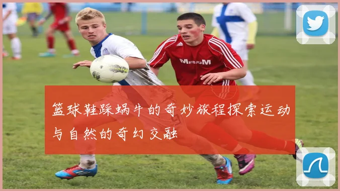 篮球鞋踩蜗牛的奇妙旅程探索运动与自然的奇幻交融