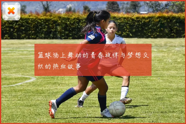 篮球场上舞动的青春旋律与梦想交织的热血故事