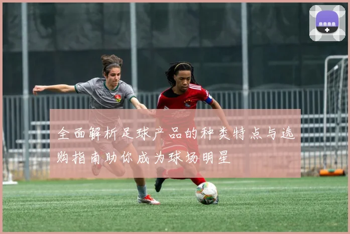 全面解析足球产品的种类特点与选购指南助你成为球场明星