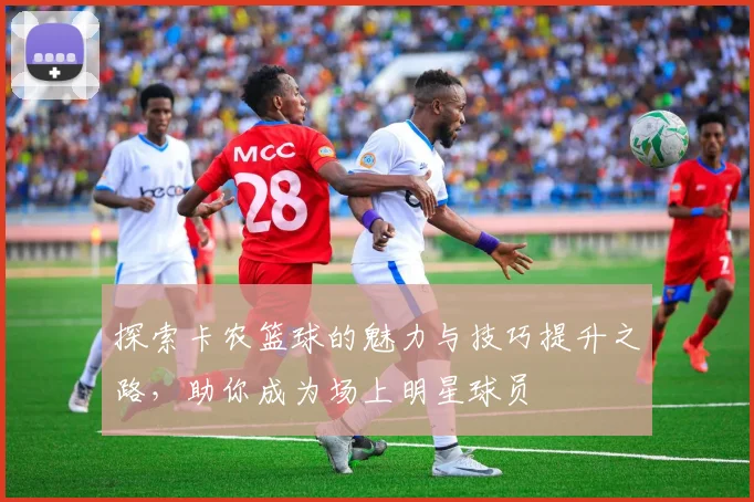 探索卡农篮球的魅力与技巧提升之路，助你成为场上明星球员