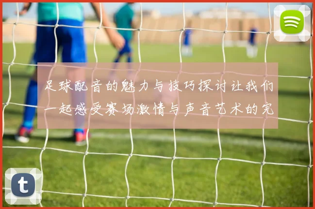 足球配音的魅力与技巧探讨让我们一起感受赛场激情与声音艺术的完美结合